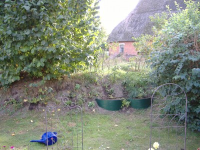 DSCF0448.JPG