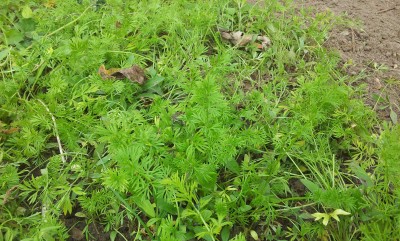 20160930_143747.jpg