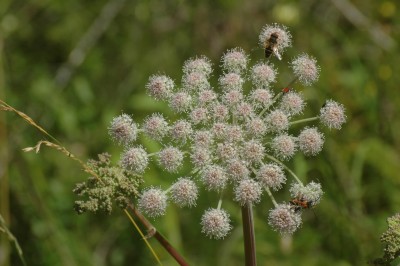 DSC_0860.JPG