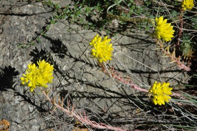 DSC_1028.JPG