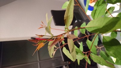 DSC_0143.JPG