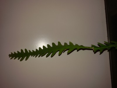 20161008_195002.jpg