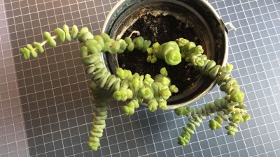 IMG-20161013-WA0002.jpg