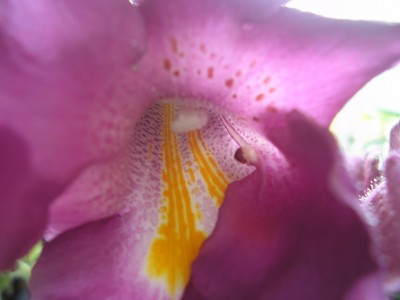 Bilder von Robert 035.jpg