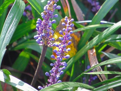 DSC04298a Kopie.jpg