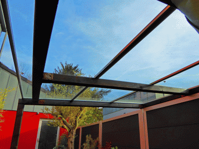 P1030689.gif