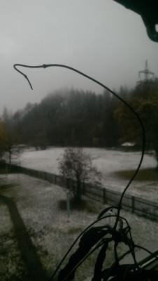 IMAG0476.jpg