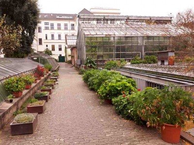 im Nutzpflanzengarten Bonn.jpg