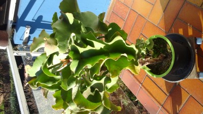 20161114_094341.jpg