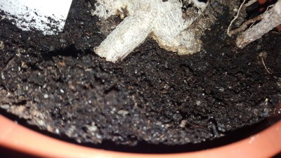 20161218_122231.jpg
