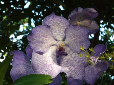 DSCF1083.JPG