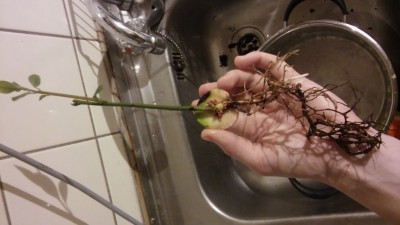 20161219_002802.jpg