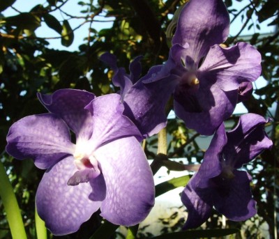 DSCF1054.JPG
