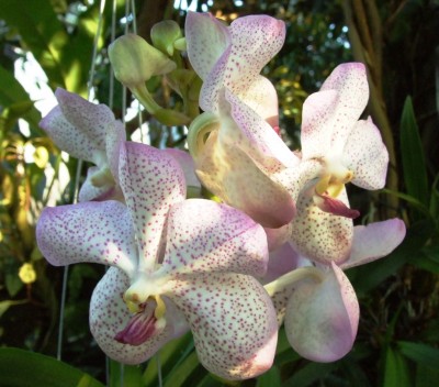 DSCF1059.JPG