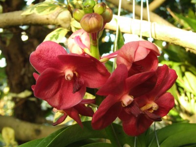 DSCF1065.JPG