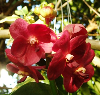 DSCF1052.JPG