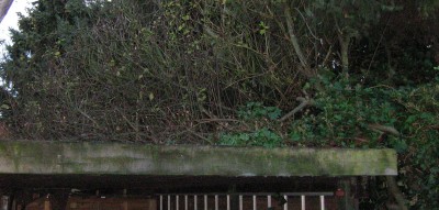 3308a Carportdach.jpg