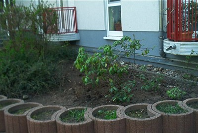 nachher1.jpg