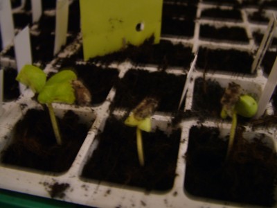 DSCF2557.JPG