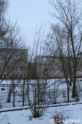 IMG_9104.JPG