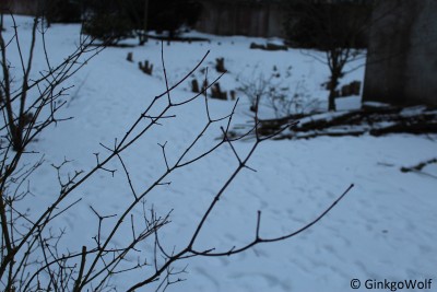 IMG_9108.JPG