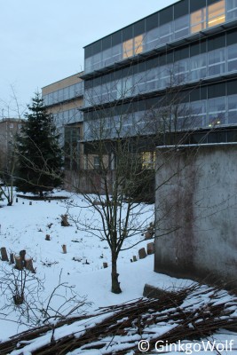 IMG_9112.JPG