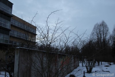 IMG_9113.JPG