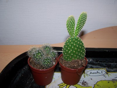 Bild 002.jpg