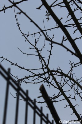 IMG_9194.JPG