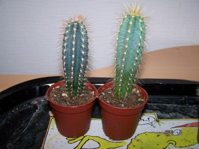 Bild 001.jpg