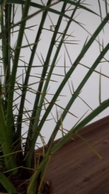 20170128_113726 (Mobile).jpg