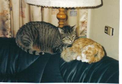 Fiene beim kuscheln.jpg