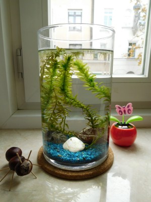 DSCN2268.JPG