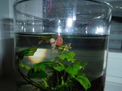 DSCN2719.JPG