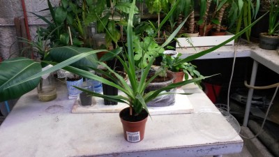 20170207_105244.jpg