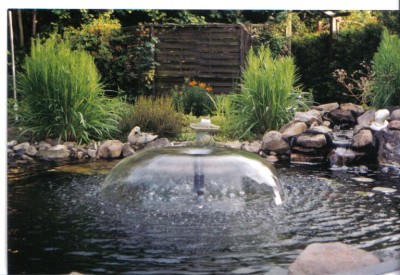 Unser Gartenteich 005.jpg