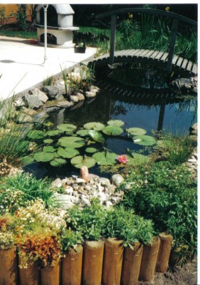 Unser Gartenteich 004.jpg
