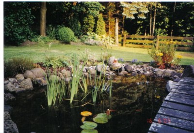 Unser Gartenteich 003.jpg