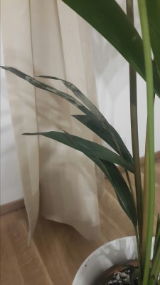 2017-02-19 20.46.35.jpg