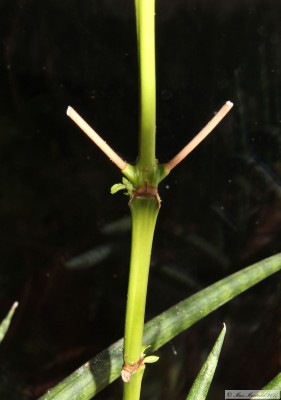20170302_01.jpg