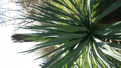 20170315_104828.jpg