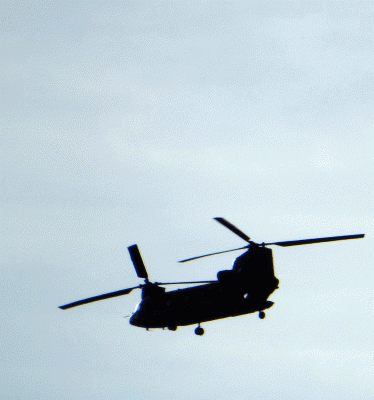 P1040216.gif