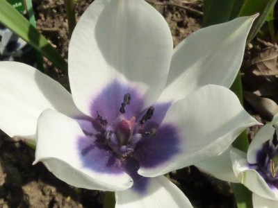 20170409 025.JPG