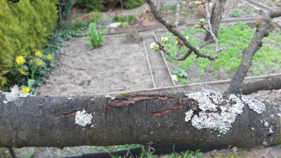 20170410_133519.jpg
