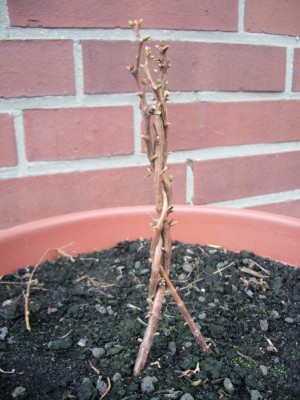 1 UM am 10.03.2012.jpg