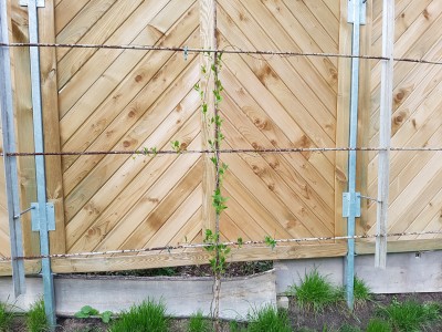 20170414_193842.jpg