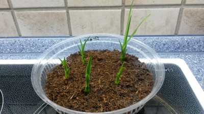 20170417_083023.jpg