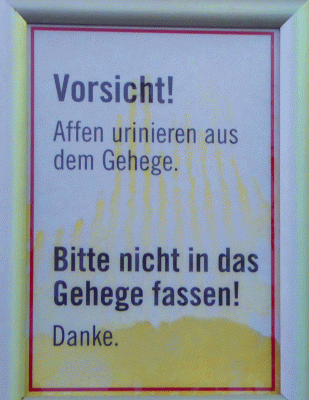 P1040460.gif