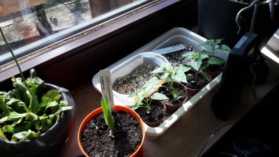 20170424_103642.jpg