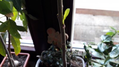 20170424_185703.jpg